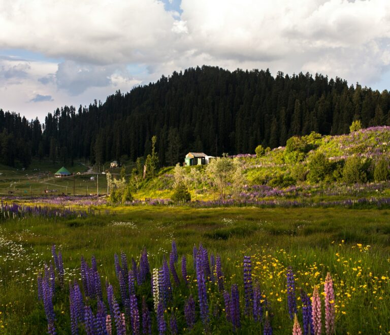 Honeymoon 4 Nights 5 Day Package