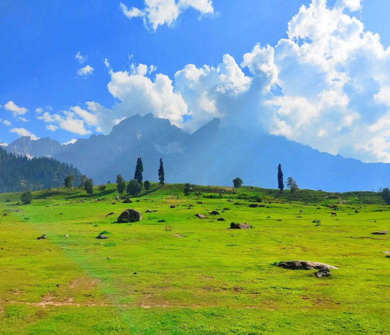 Kashmir Tour 6 Nights 7 Day Package